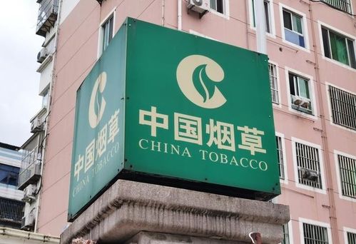 新疆煙草局校招開啟 擴招名額，高中起點，專業不限，軟件開發崗位吸引貴州學子